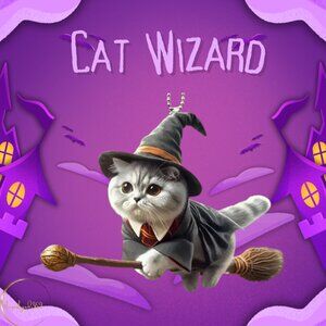 New 2D Acrylic Flat Cat Witch Ornament